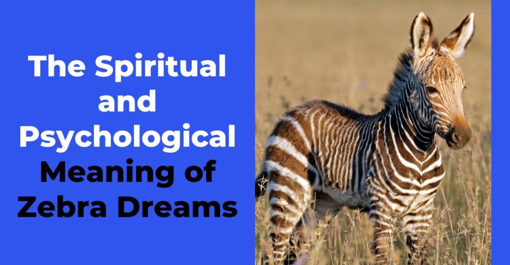 Spiritual and Psychological Meaning of Zebra Dream